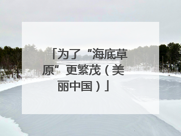 为了“海底草原”更繁茂（美丽中国）