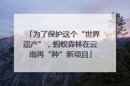 为了保护这个“世界遗产”，蚂蚁森林在云南再“种”新项目
