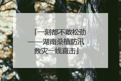一刻都不敢松劲——湖南桑植防汛救灾一线直击