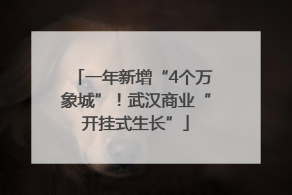 一年新增“4个万象城”！武汉商业“开挂式生长”