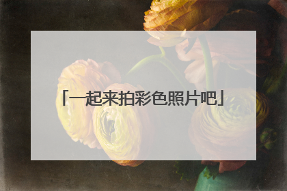 一起来拍彩色照片吧