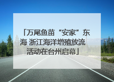 万尾鱼苗“安家”东海 浙江海洋增殖放流活动在台州启幕