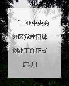 三亚中央商务区党建品牌创建工作正式启动
