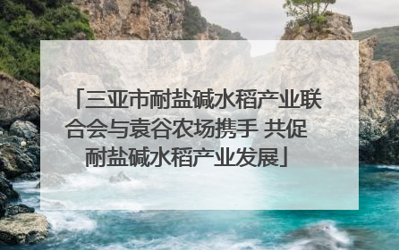 三亚市耐盐碱水稻产业联合会与袁谷农场携手 共促耐盐碱水稻产业发展