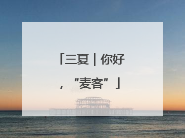 三夏｜你好，“麦客”