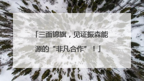 三面锦旗，见证振森能源的“非凡合作”！