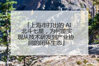 上海市打出的 AI 北斗七星，为何能实现从技术研发到产业协同的闭环生态