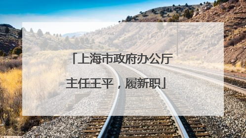 上海市政府办公厅主任王平，履新职