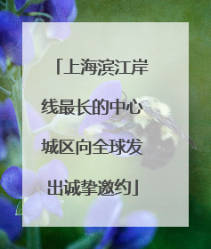 上海滨江岸线最长的中心城区向全球发出诚挚邀约