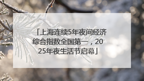 上海连续5年夜间经济综合指数全国第一，2025年夜生活节启幕