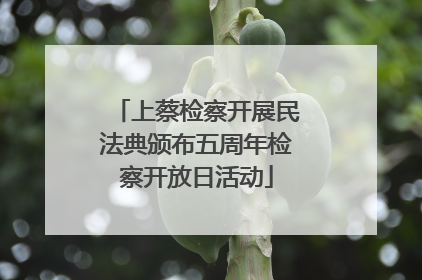 上蔡检察开展民法典颁布五周年检察开放日活动