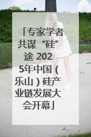 专家学者共谋“硅”途 2025年中国（乐山）硅产业链发展大会开幕
