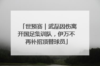 世预赛｜武磊因伤离开国足集训队，伊万不再补招顶替球员