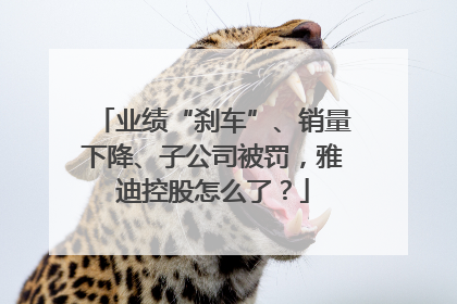 业绩“刹车”、销量下降、子公司被罚，雅迪控股怎么了？