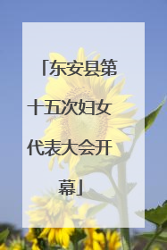 东安县第十五次妇女代表大会开幕