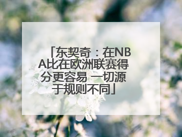 东契奇：在NBA比在欧洲联赛得分更容易 一切源于规则不同