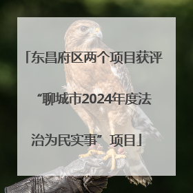 东昌府区两个项目获评“聊城市2024年度法治为民实事”项目