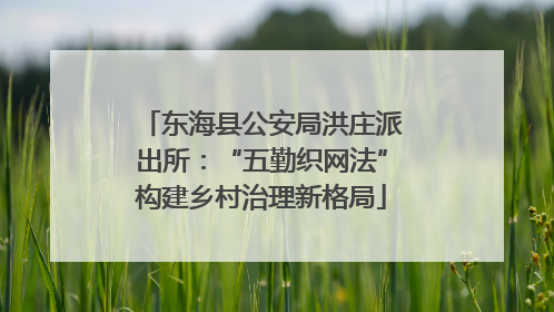 东海县公安局洪庄派出所：“五勤织网法”构建乡村治理新格局