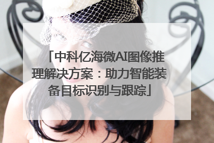 中科亿海微AI图像推理解决方案：助力智能装备目标识别与跟踪