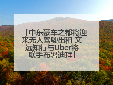 中东豪车之都将迎来无人驾驶出租 文远知行与Uber将联手布署迪拜