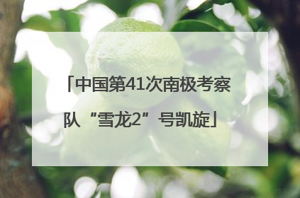 中国第41次南极考察队“雪龙2”号凯旋