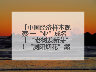中国经济样本观察·一“业”成名丨“老树发新芽”！“浏阳烟花”燃亮世界