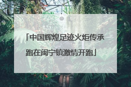 中国辉煌足迹火炬传承跑在闽宁镇激情开跑
