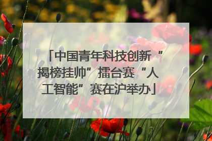 中国青年科技创新“揭榜挂帅”擂台赛“人工智能”赛在沪举办
