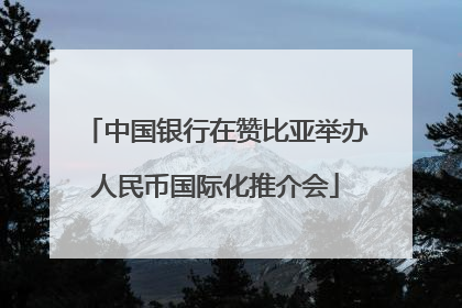 中国银行在赞比亚举办人民币国际化推介会