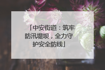 中安街道：筑牢防汛堤坝，全力守护安全防线