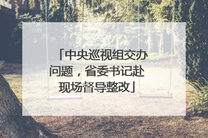 中央巡视组交办问题，省委书记赴现场督导整改