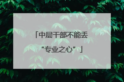 中层干部不能丢“专业之心”