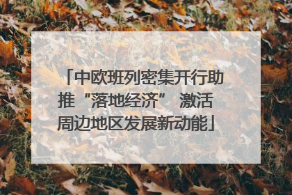 中欧班列密集开行助推“落地经济” 激活周边地区发展新动能
