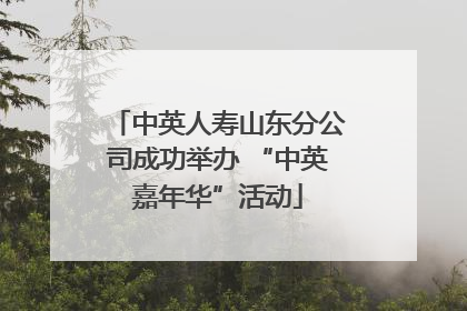 中英人寿山东分公司成功举办 “中英嘉年华”活动