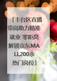 丰台区直播带岗助力精准就业 零距离解锁京东MALL200余热门岗位