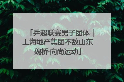 乒超联赛男子团体｜上海地产集团不敌山东魏桥·向尚运动