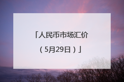 人民币市场汇价（5月29日）