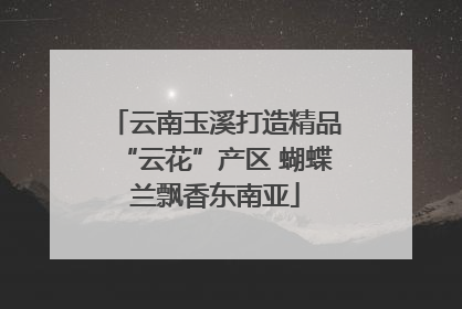 云南玉溪打造精品“云花”产区 蝴蝶兰飘香东南亚