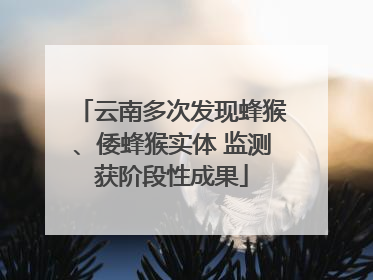 云南多次发现蜂猴、倭蜂猴实体 监测获阶段性成果