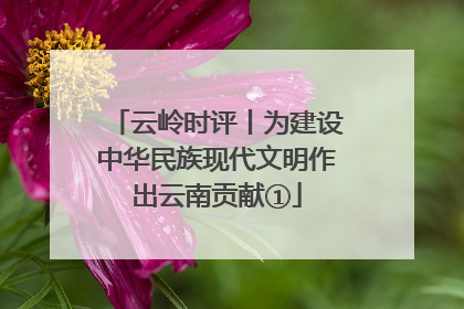 云岭时评丨为建设中华民族现代文明作出云南贡献①