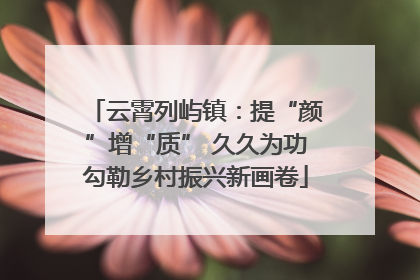 云霄列屿镇：提“颜”增“质” 久久为功勾勒乡村振兴新画卷