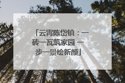 云霄陈岱镇：一砖一瓦筑家园 一步一景绘新颜