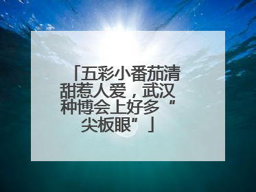 五彩小番茄清甜惹人爱，武汉种博会上好多“尖板眼”
