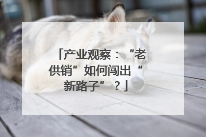 产业观察：“老供销”如何闯出“新路子”？