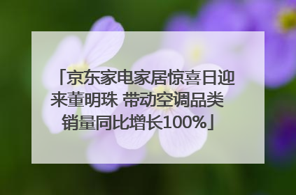 京东家电家居惊喜日迎来董明珠 带动空调品类销量同比增长100%