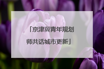 京津冀青年规划师共话城市更新