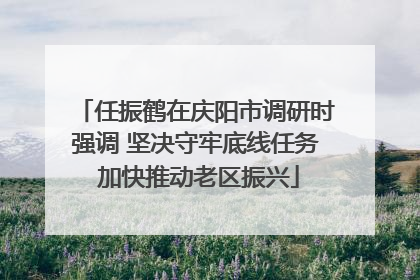 任振鹤在庆阳市调研时强调 坚决守牢底线任务 加快推动老区振兴