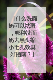 什么洗面奶可以祛斑，哪种洗面奶去黑头缩小毛孔效果好指南？