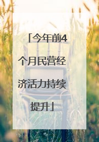 今年前4个月民营经济活力持续提升