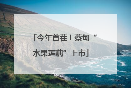 今年首茬！蔡甸“水果莲藕”上市